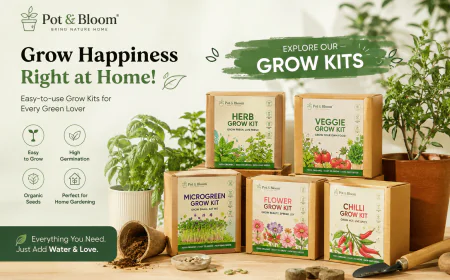 Complete Guide to Choosing the Perfect Gardening Kit Online