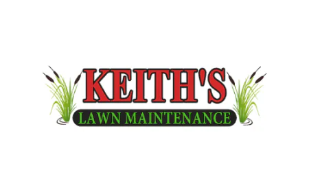 Professional Lawn Maintenance and Landscape Design Services for a Beautiful Outdoor Space