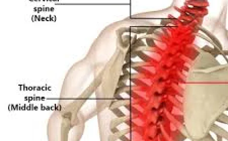 Back Pain Treatment in Dubai: Effective Solutions for Sciatica and Nerve Pain Relief