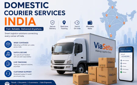 Domestic Courier Services India Fast Delivery Guide