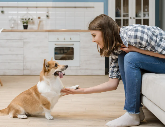 Puppy Training Kansas City MO: Why Modern City Dogs Need More Than Basic Obedience