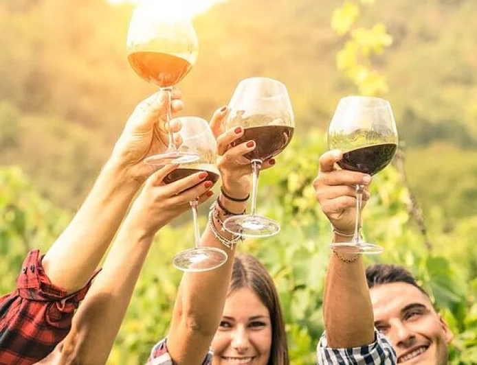 What a Wine Tour in Adelaide Involves and How to Choose the Right Experience?