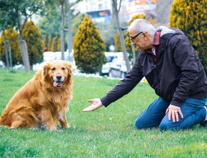 Dog Trainer Pittsburgh PA: 7 Signs Your Dog Is Mentally Overstimulated — Not “Bad”