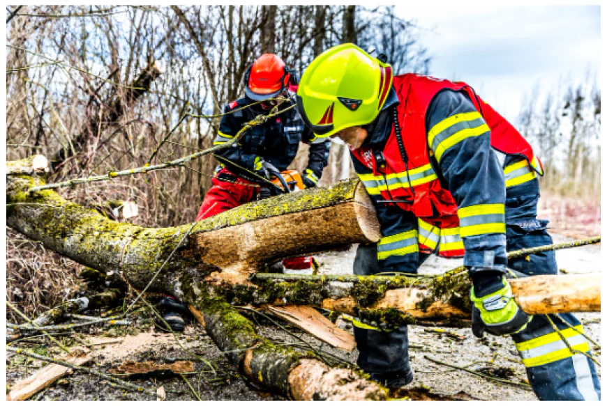 Storm Damage Insurance Claim Denied? Here Is What to Do