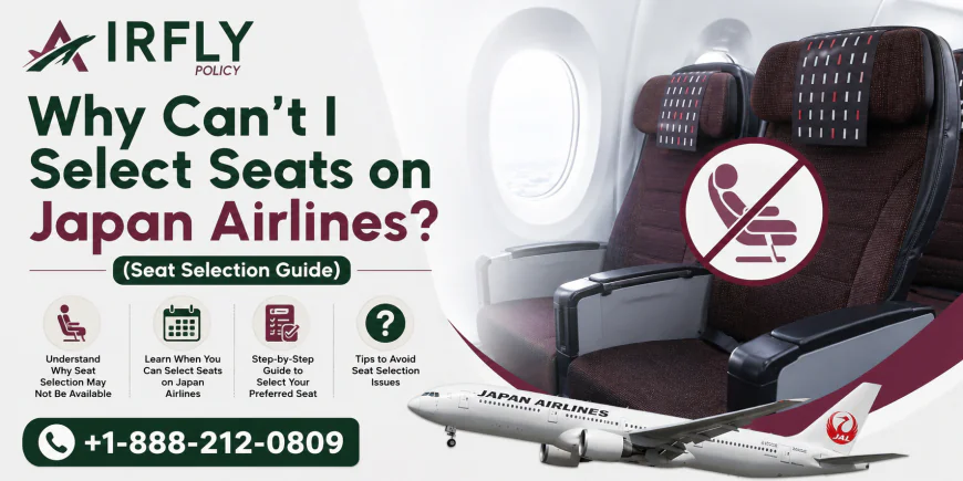 Seat Selection on Japan Airlines [Cost | Fee | Rules] – Don’t Miss Best Seats! 