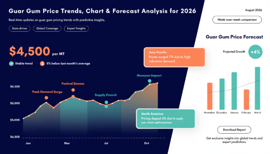 Guar Gum Price Chart: Latest Trends, Market Insights & Forecast 2026