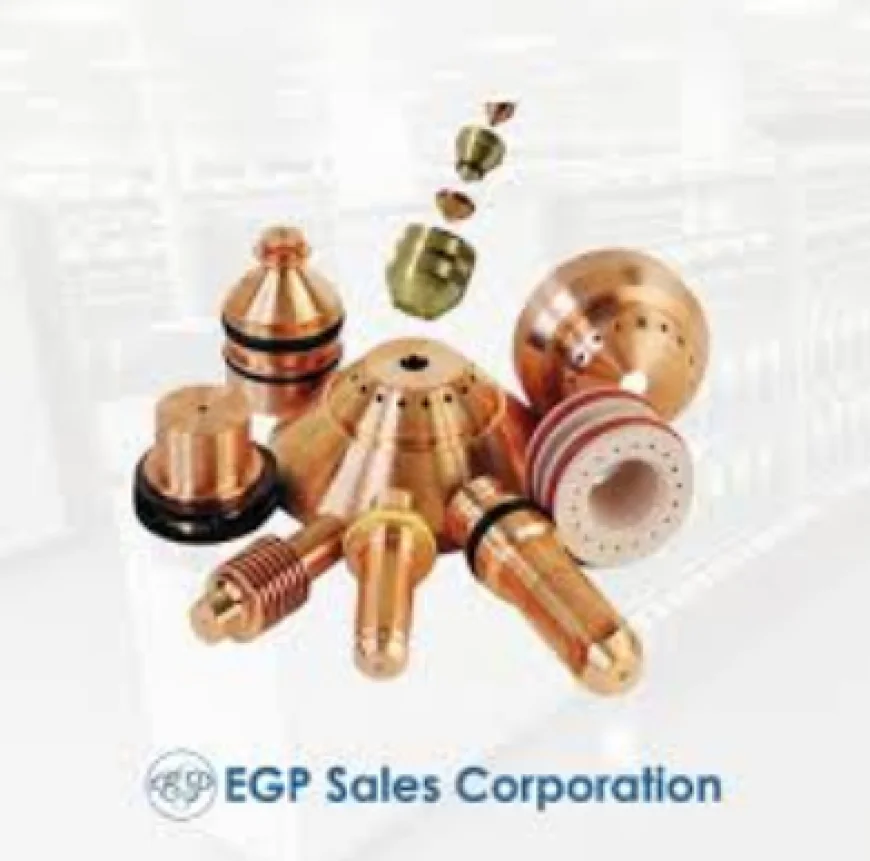 Key Factors to Consider When Choosing a Placut Spares Parts Supplier for Industrial Applications