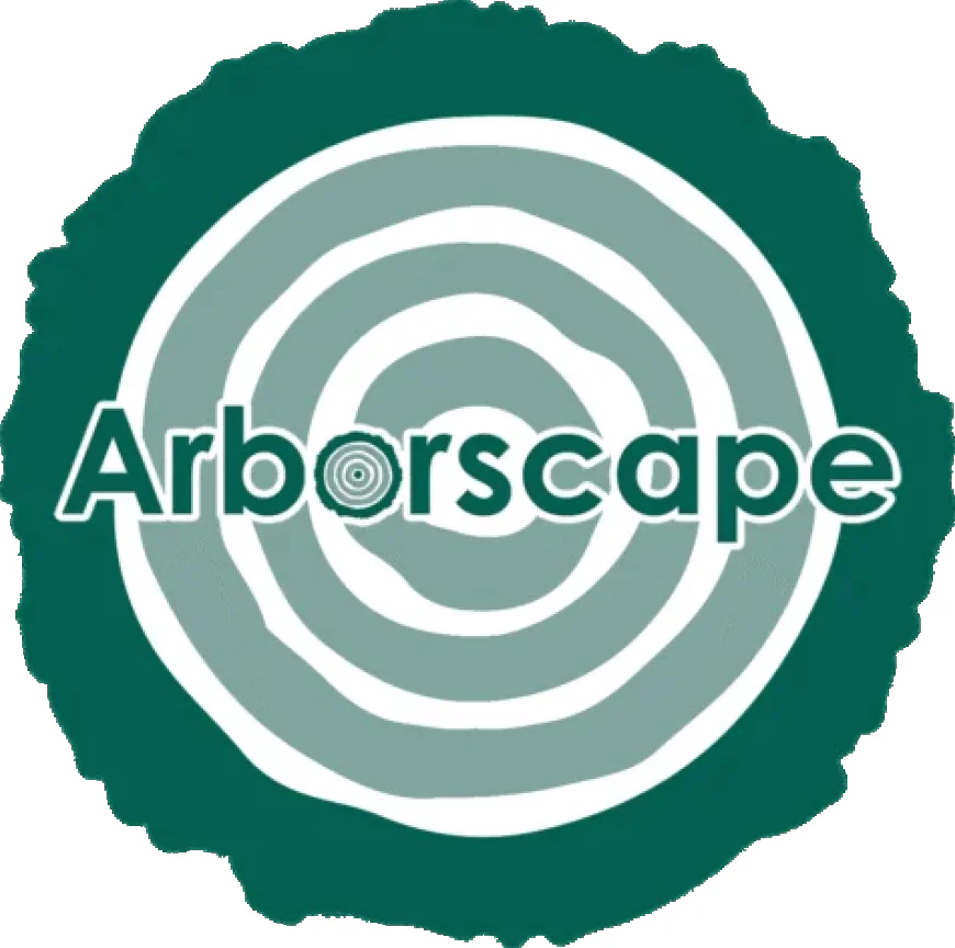 Why Hiring a Professional Tree Surgeon Cumbria Is Essential for Healthy Landscapes