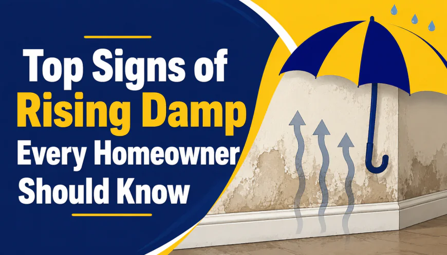 Top Signs of Rising Damp Every Homeowner Should Know