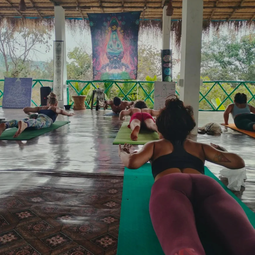 How 50 Hour Yoga Training Can Improve Your Flexibility and Mindfulness