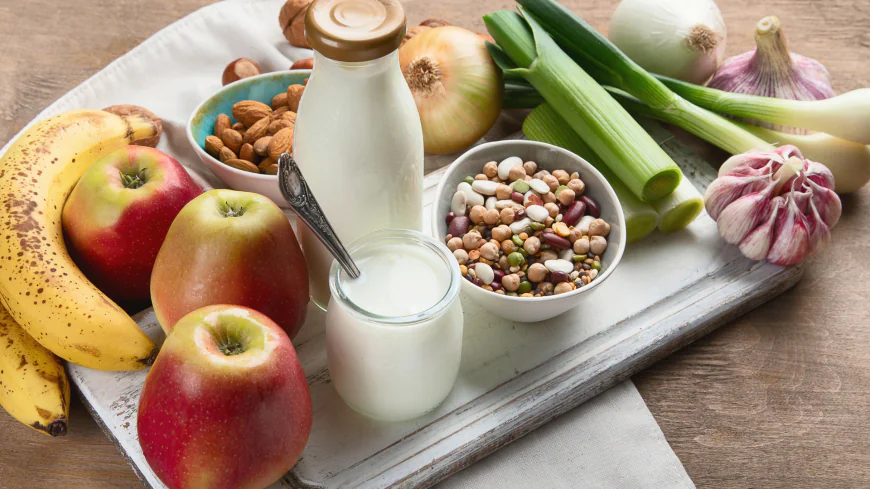 India Prebiotics Market Growth , Industry Trends, Demand and Analysis Report 2026-2034
