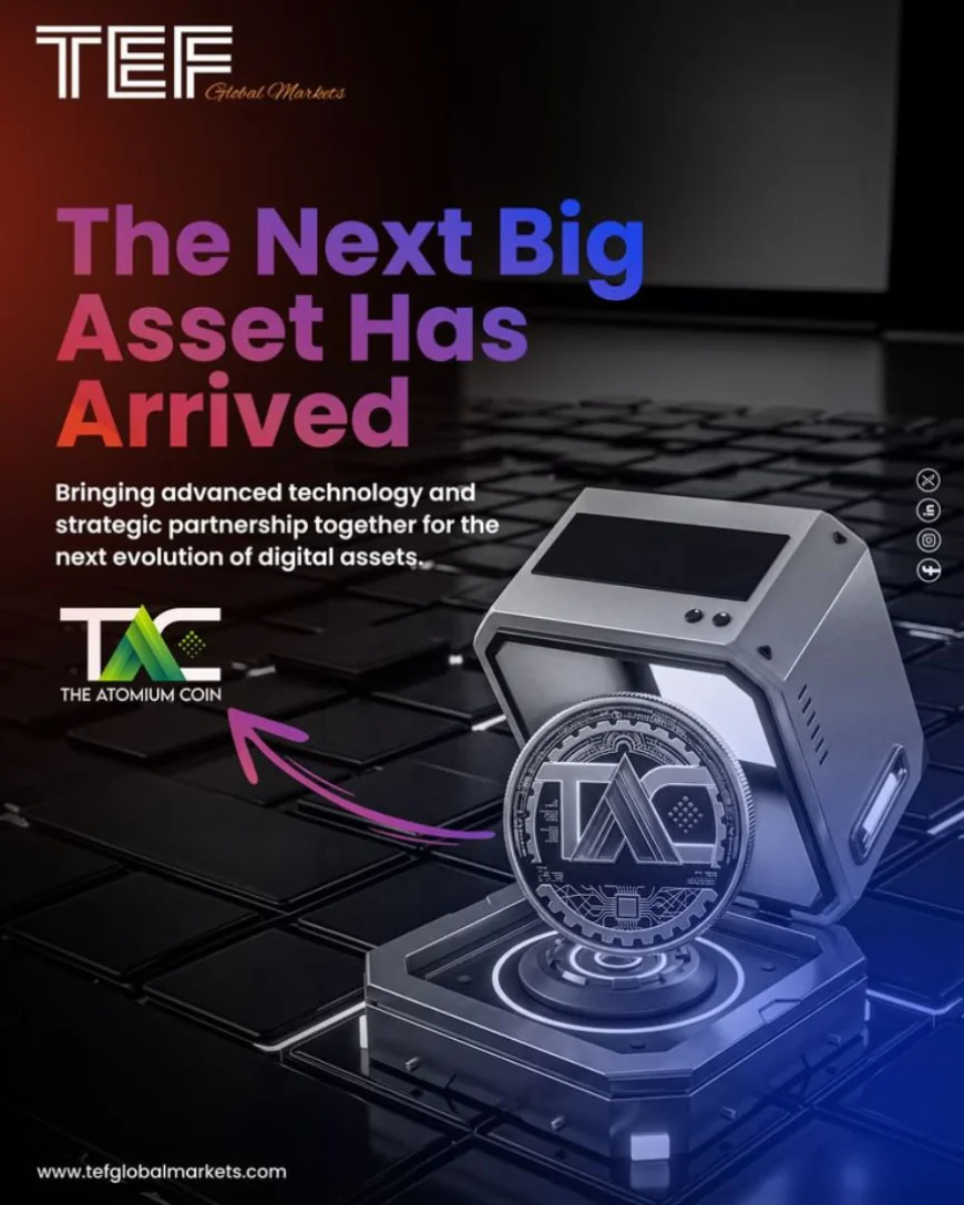 Top 5 Services Offered by TEF Global Markets That Are Shaping the Future of Finance