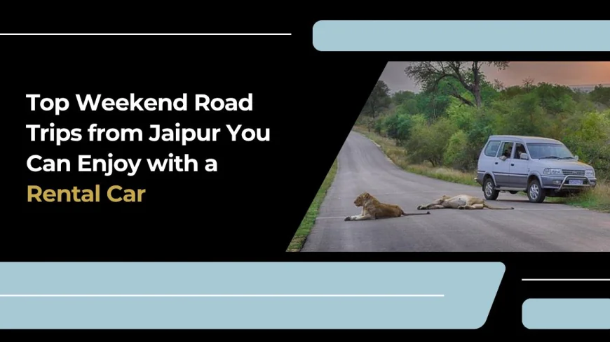 Top Weekend Road Trips from Jaipur You Can Enjoy with a Rental Car