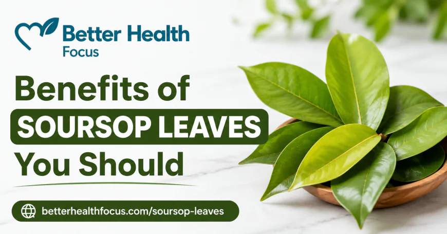 15 Potential Health Benefits of Soursop Leaves Tea (2026 Guide): Uses, Nutrition, and Safety