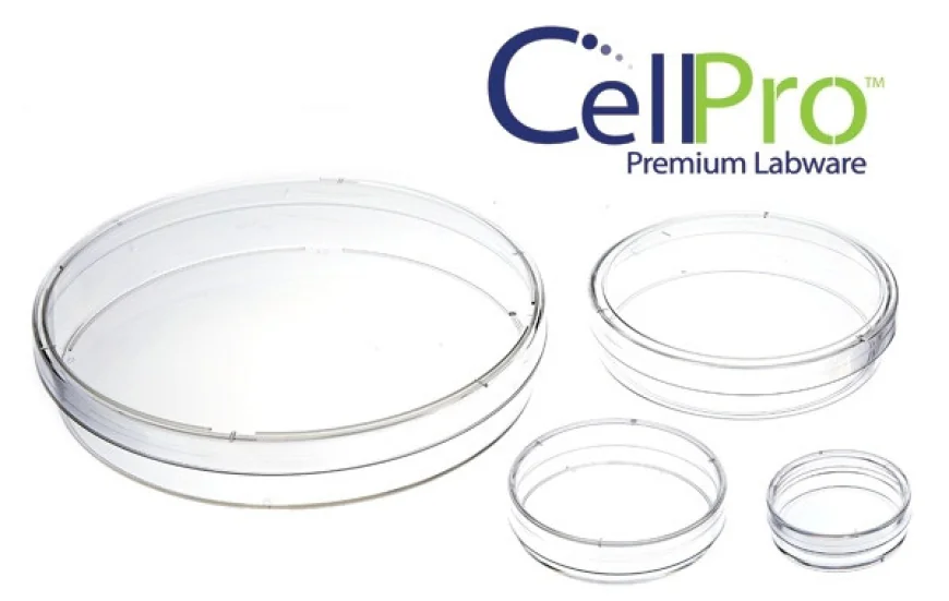 What Are Cell Culture Dishes and Plates, and Why Are They Important?