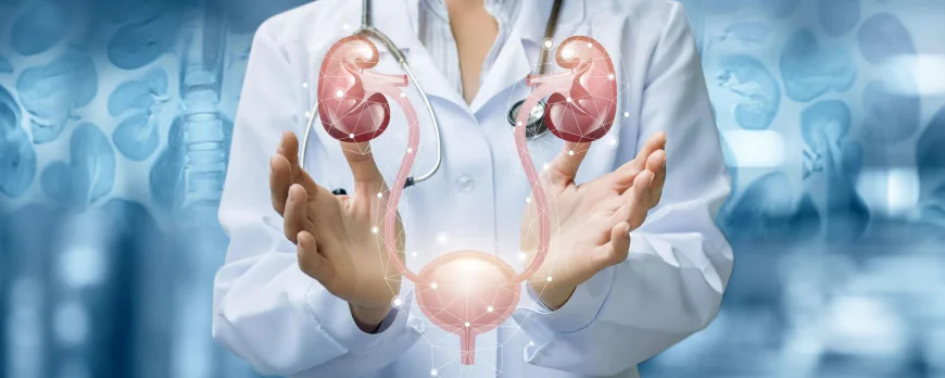 Best Urology Hospital: Essential Features Every Patient Should Know