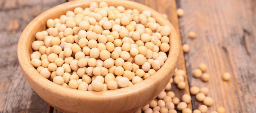 What Are the Potential Side Effects of Insoya?