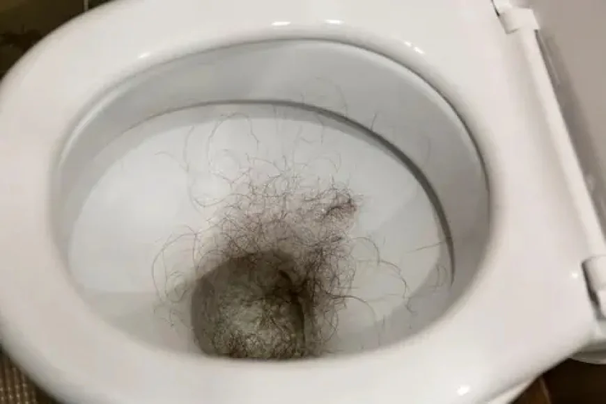Is It Okay to Flush Small Amounts of Hair? The Truth From a Plumber