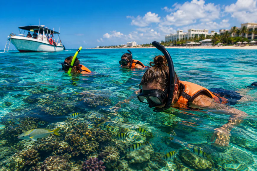 How Can You Choose the Right Snorkeling Tour in Cancun?