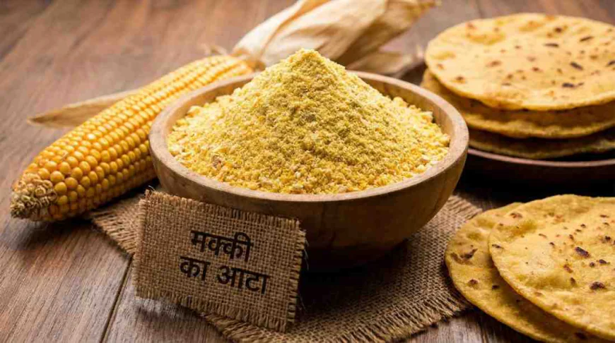 Makki Ka Atta: The Traditional Flour Making a Strong Comeback in Modern Kitchens