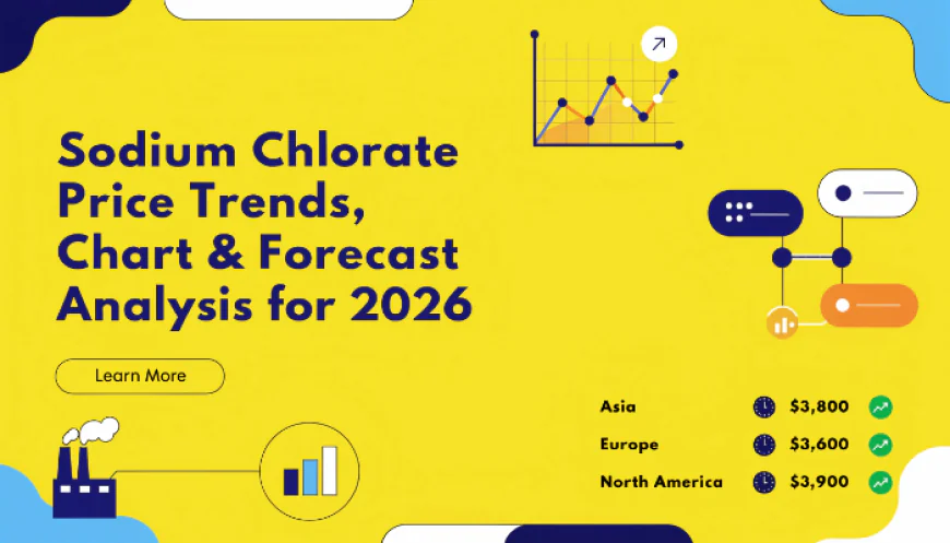 Sodium Chlorate Price Index 2026: Latest Chart, Trend, Data & Forecast