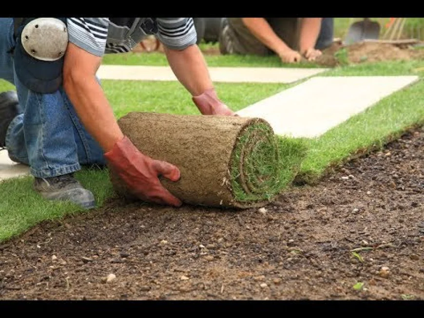 Transforming Outdoor Spaces with Professional Care