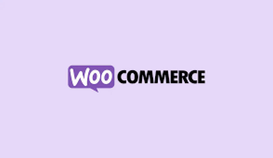 Best WooCommerce Plugins for Small Businesses.