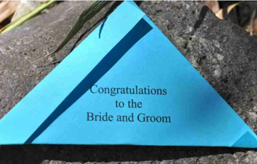 How Do You Release Butterflies for a Safe Ceremony