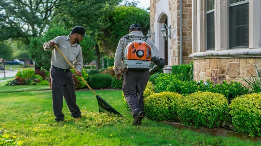 Lawn Care and Maintenance Services in Irving TX | Professional Lawn Care