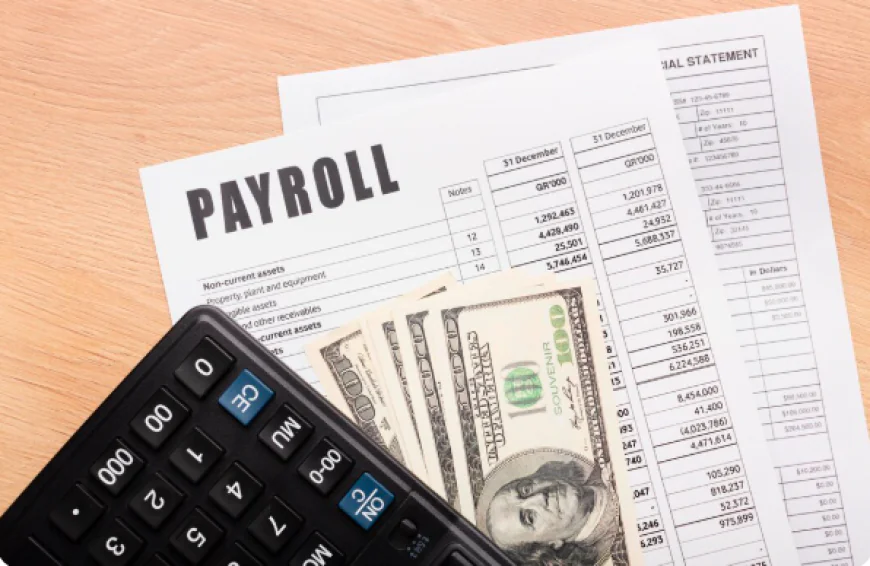 Experienced Payroll Service in Cape Coral, FL for Compliance and Accuracy