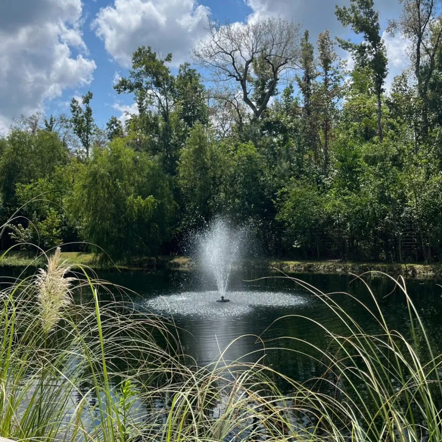 3/4 hp Pond Fountain Solutions for Healthier Outdoor Ponds