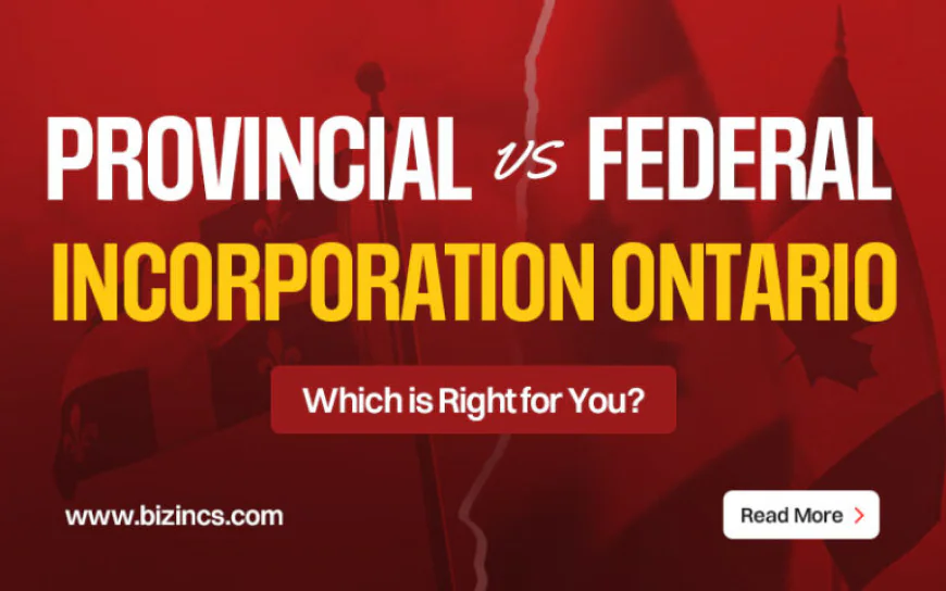 Provincial vs. Federal Incorporation: Which Is Right for Your Business?