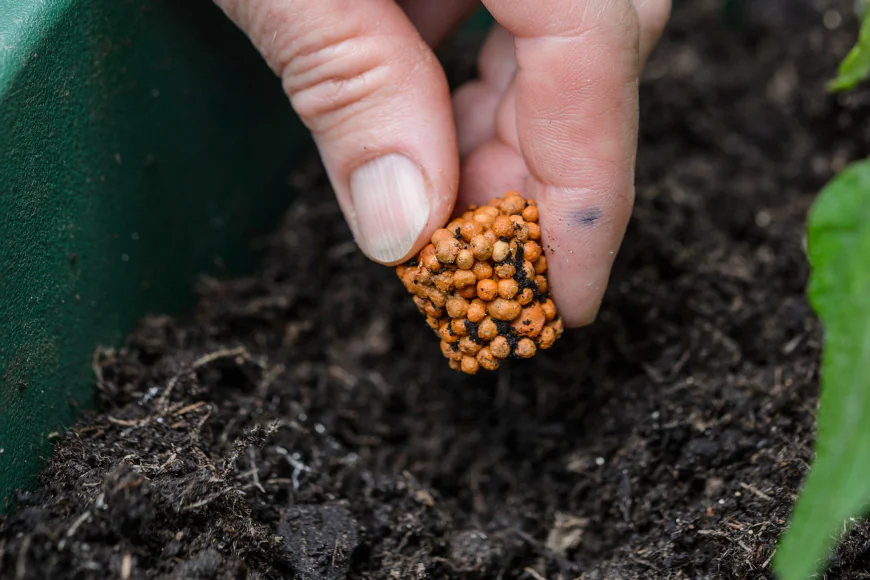How to Dose Fertilizer