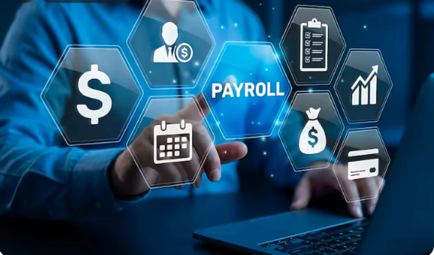 Top Payroll Processing Services in Scottsdale, AZ for Growing Businesses
