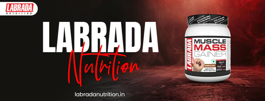  best protein powder 