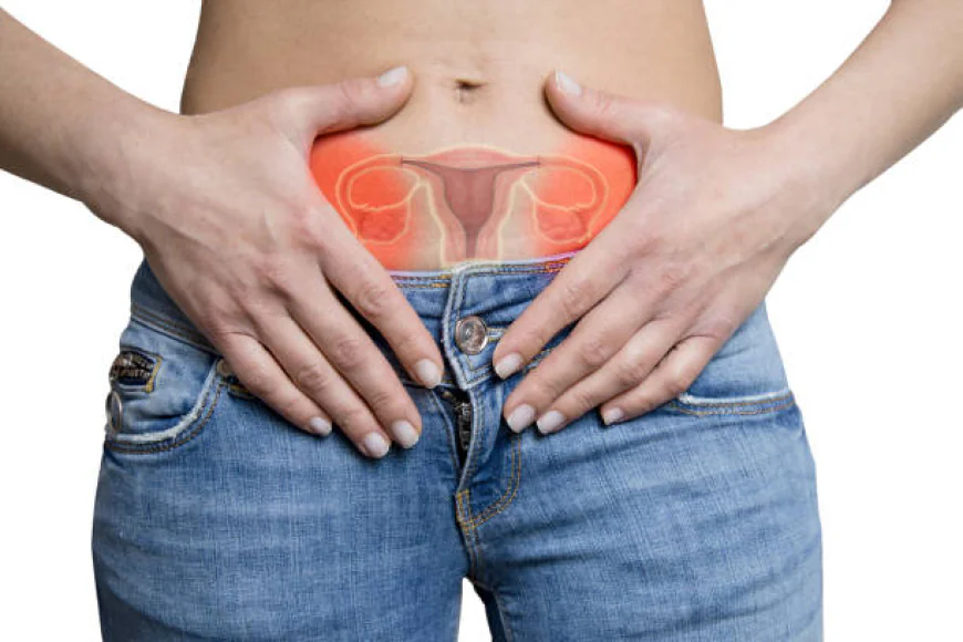 Vaginal Bleeding Between Periods: Causes, Symptoms & When to Seek Help