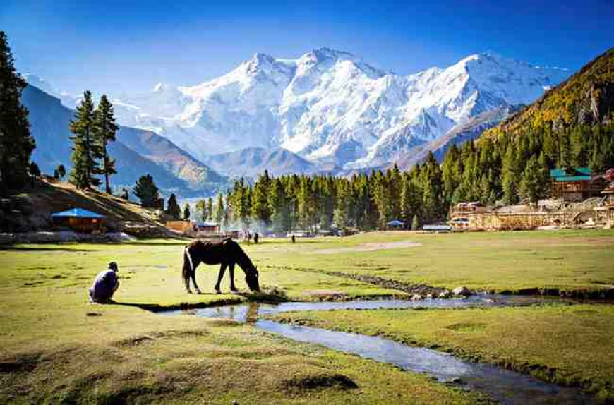 Kashmir Holiday Packages That Show the Best of the Valley