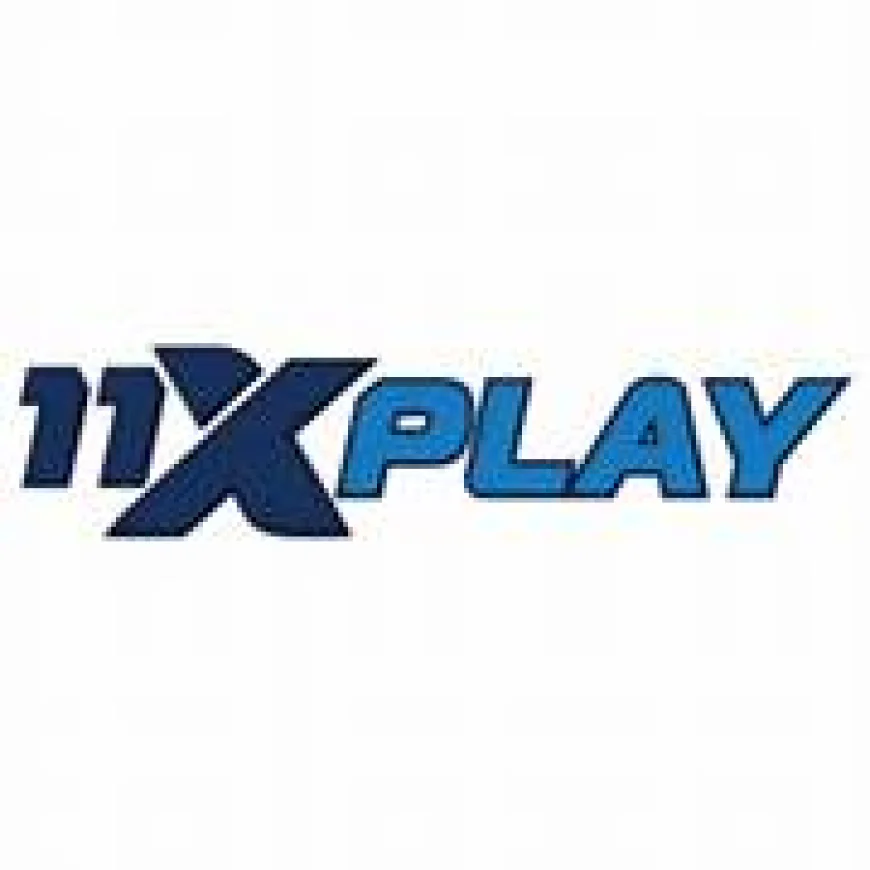 Why 11xplaypro Login Is Becoming the First Choice for Sports Betting Enthusiasts