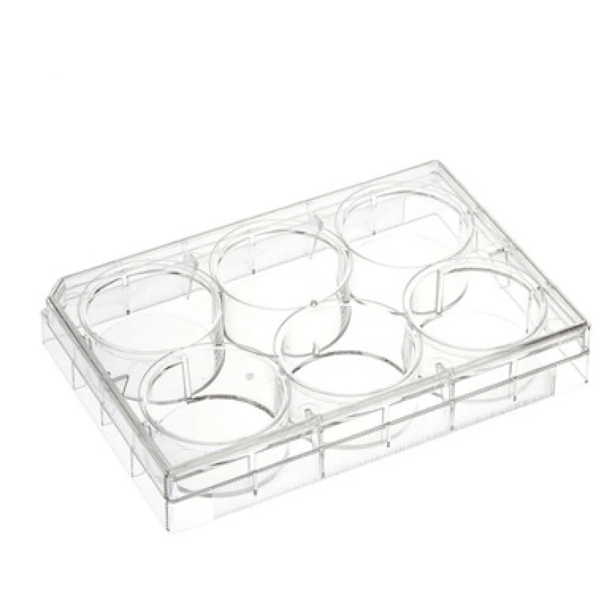 Understanding Cell Culture Plates and Their Role in Modern Laboratories