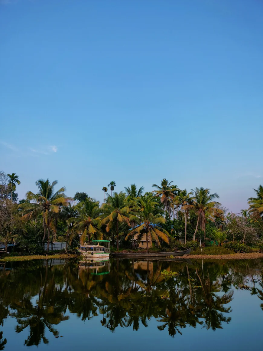 Munnar Travel Guide: Your Complete Guide to Kerala’s Tea Paradise