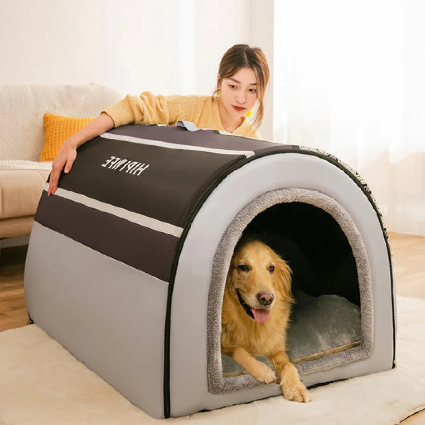 How to Choose the Right Pet Carrier for Your Cat: A Practical Buying Guide