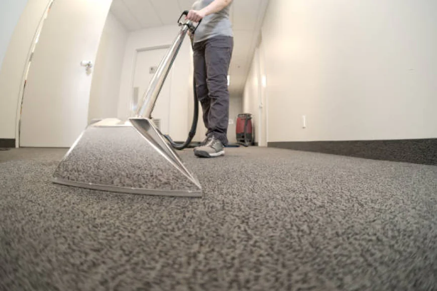 Well Water, Red Clay, and Horse Properties: Franktown's Unique Floor Care Challenges