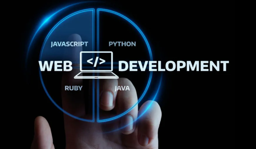Scaling Your Business with Custom Web Development Services in Perth: A Complete Guide