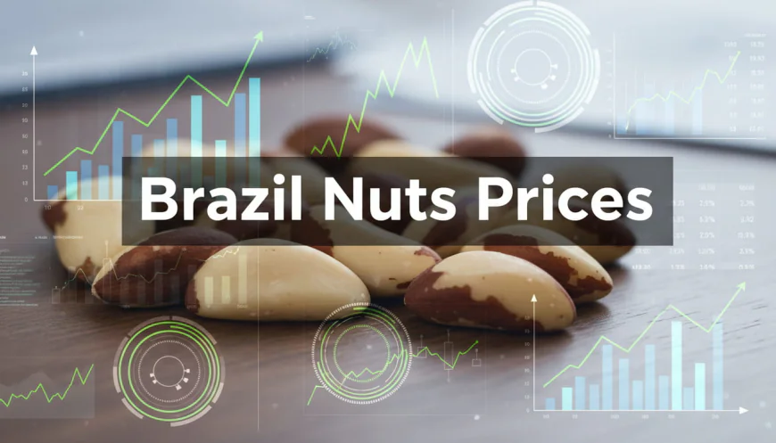 Brazil Nuts Prices Index Analysis with Quarterly Trend and Forecast Prices Chart