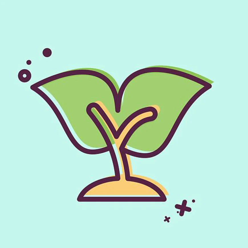 The Rise of Green Browsing: Surfing the Web Sustainably