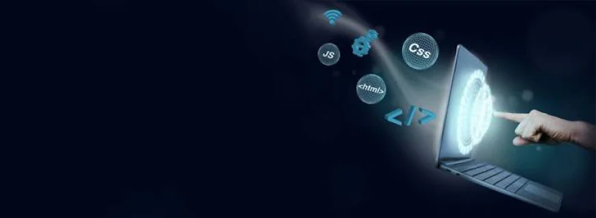 Why Hire a Professional Website Development Company in Australia?