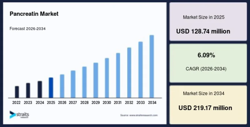 Pancreatin Market Size to Grow from USD 136.58 Million in 2026 to USD 219.17 Million by 2034