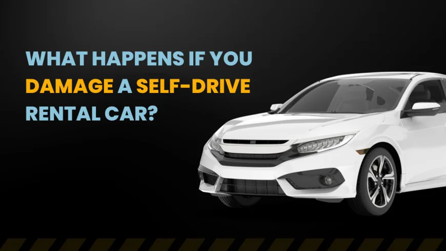 What Happens If You Damage a Self-Drive Rental Car?
