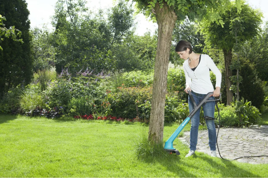 Luxury Lawn Care: Boosting Property Value in Metro Vancouver