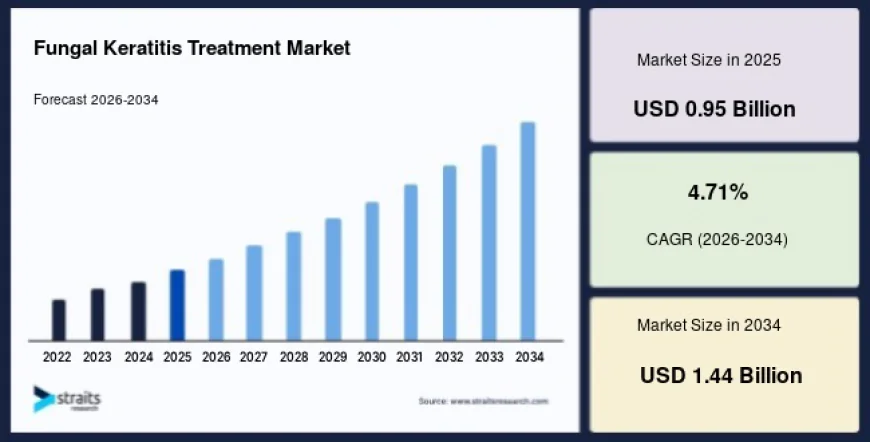 Fungal Keratitis Treatment Market Growth Driven by Rising Prevalence of Fungal Eye Infections